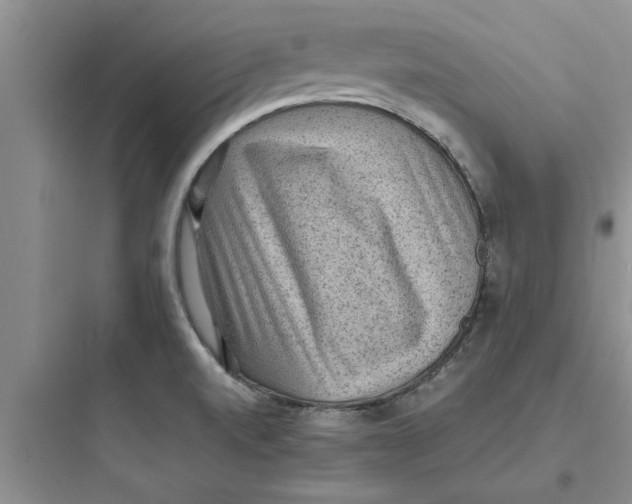 X0000097621520200803211734