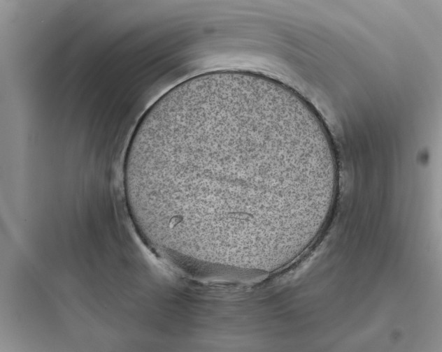 X0000097621521200803211734