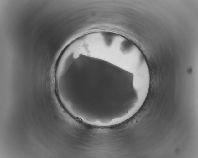 X0000097621522200803211734