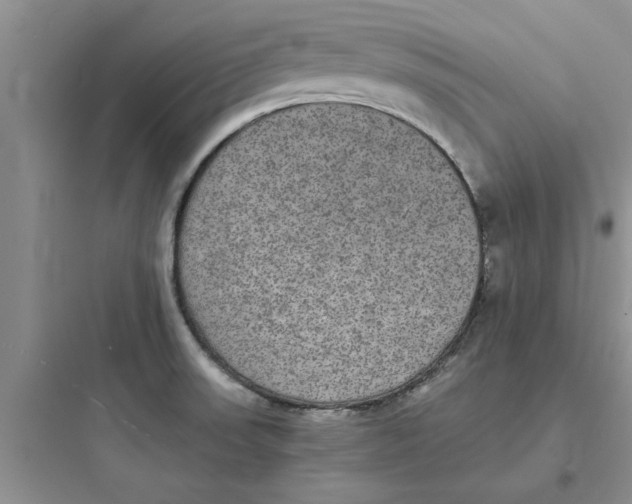 X0000097621523200803211734