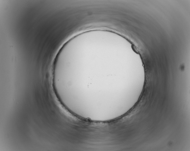 X0000097621526200803211734