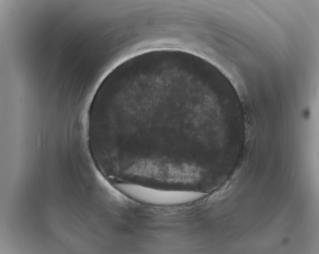 X0000097621527200803211734
