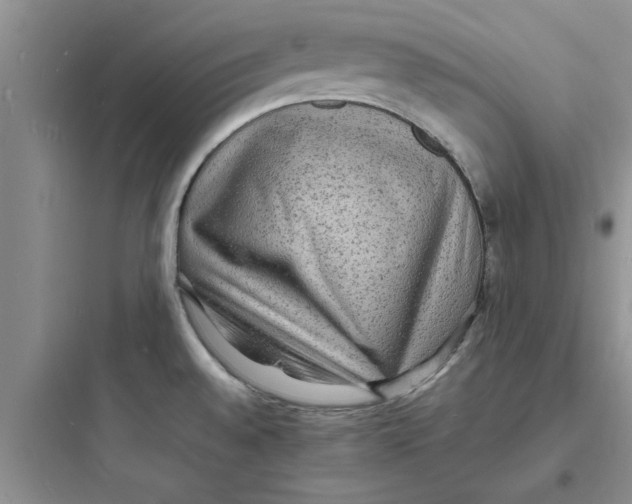 X0000097621528200803211734