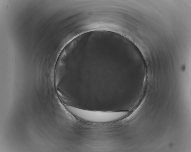 X0000097621529200803211734