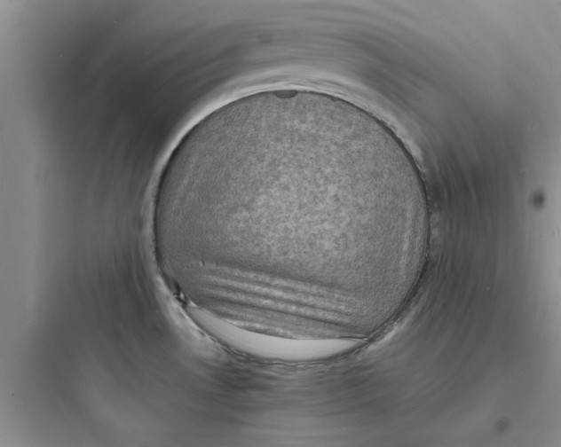 X0000097621530200803211734