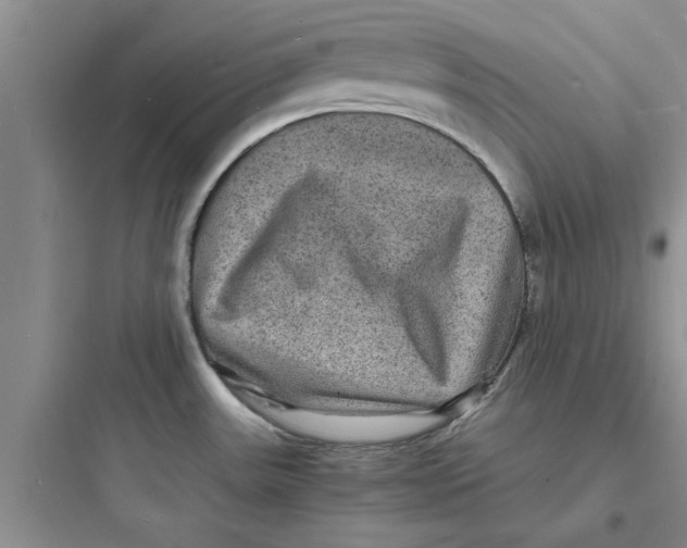X0000097621531200803211734