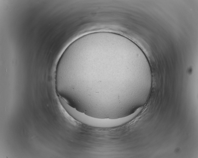 X0000097621532200803211734
