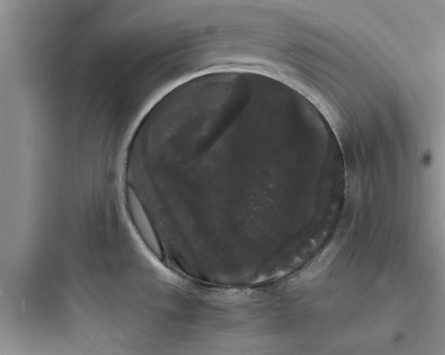 X0000097621533200803211734