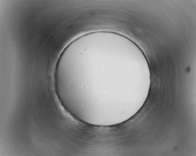 X0000097621534200803211734