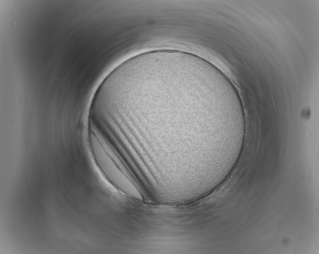 X0000097621536200803211734