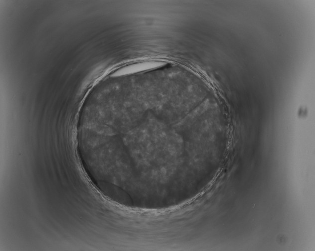 X0000097620002200803281047