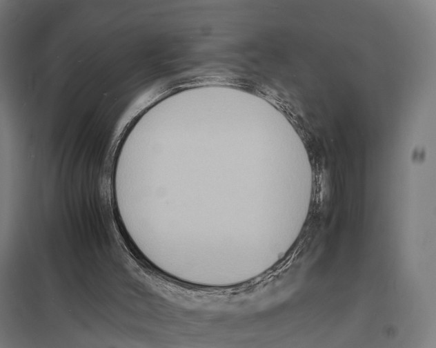 X0000097620004200803281047