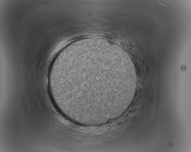X0000097620005200803281047