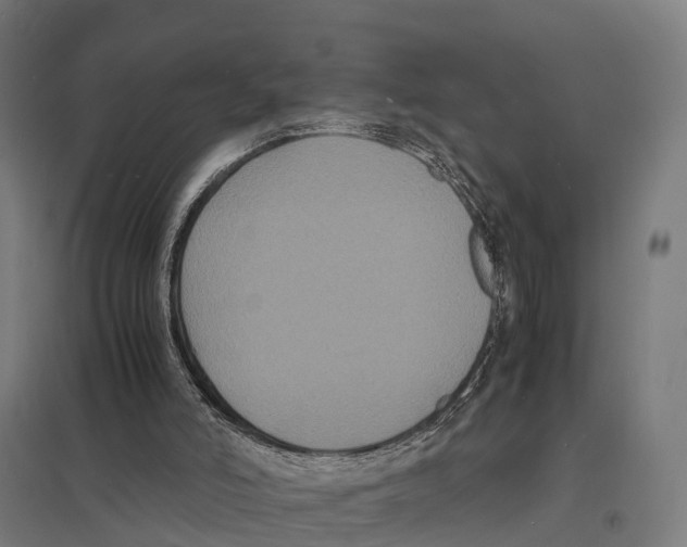 X0000097620006200803281047