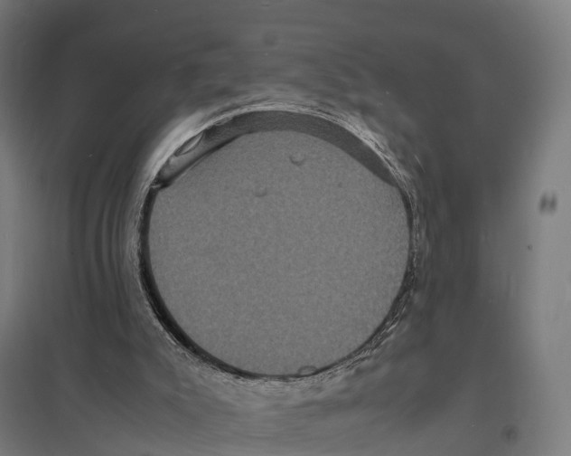 X0000097620007200803281047