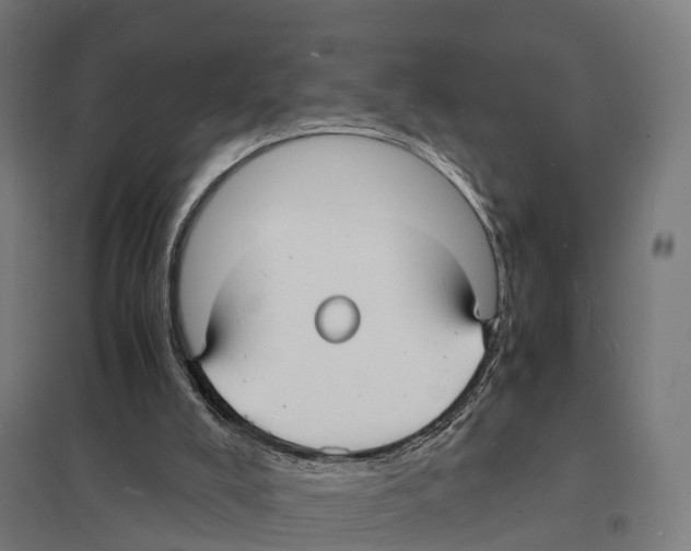 X0000097620008200803281047