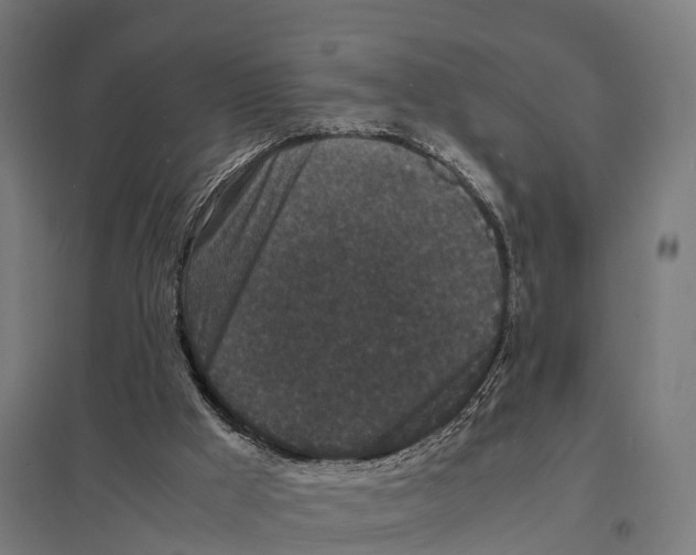 X0000097620009200803281047