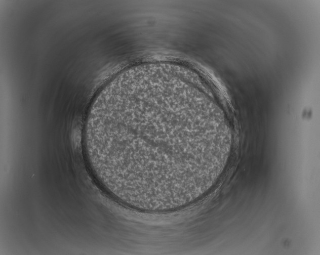 X0000097620010200803281047
