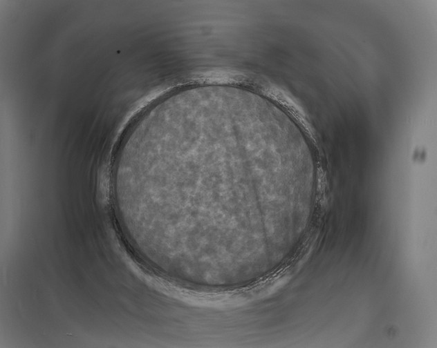 X0000097620012200803281047