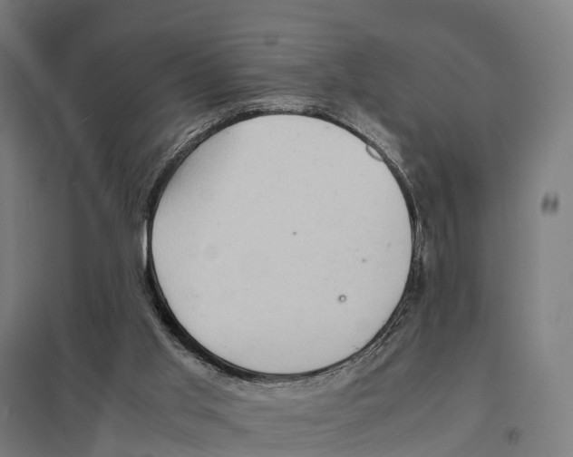 X0000097620013200803281047