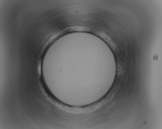 X0000097620014200803281047