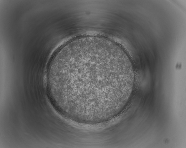 X0000097620016200803281047