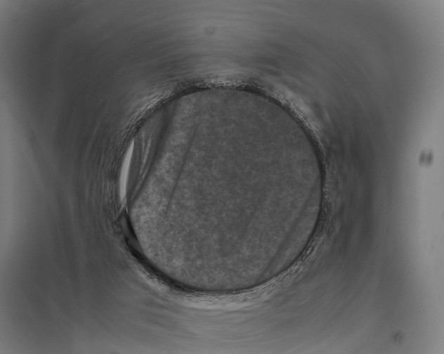 X0000097620017200803281047