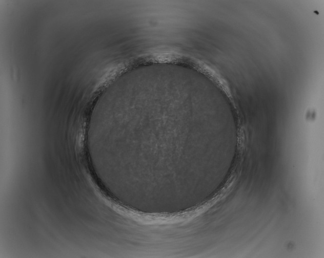 X0000097620018200803281047