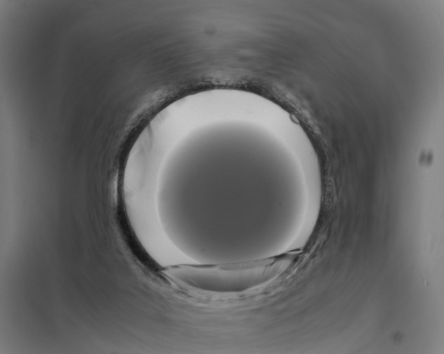 X0000097620019200803281047