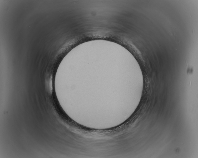 X0000097620020200803281047