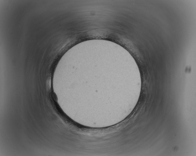 X0000097620021200803281047