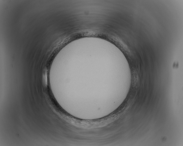 X0000097620022200803281047
