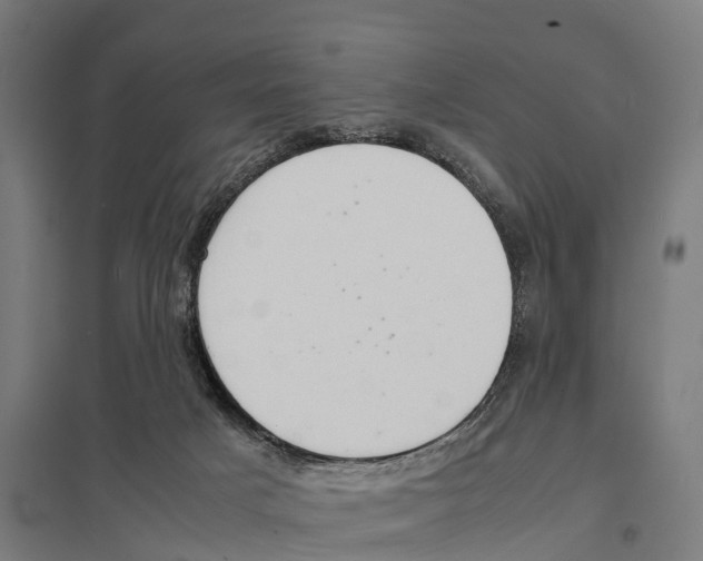 X0000097620025200803281046