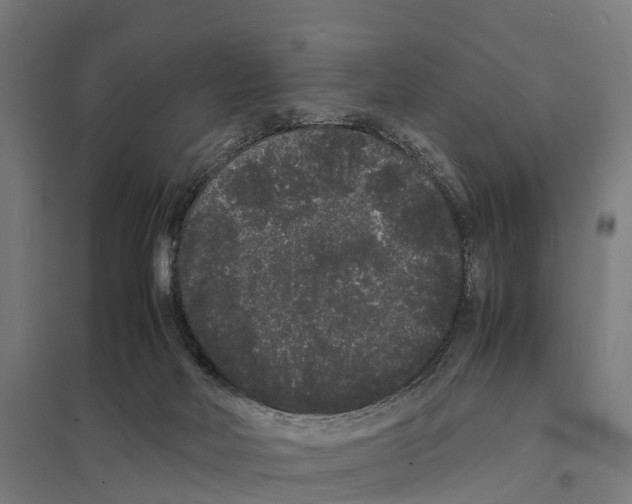 X0000097620026200803281046