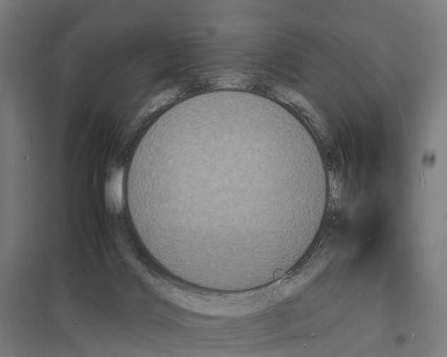 X0000097620028200803281046