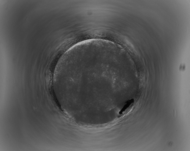 X0000097620029200803281046