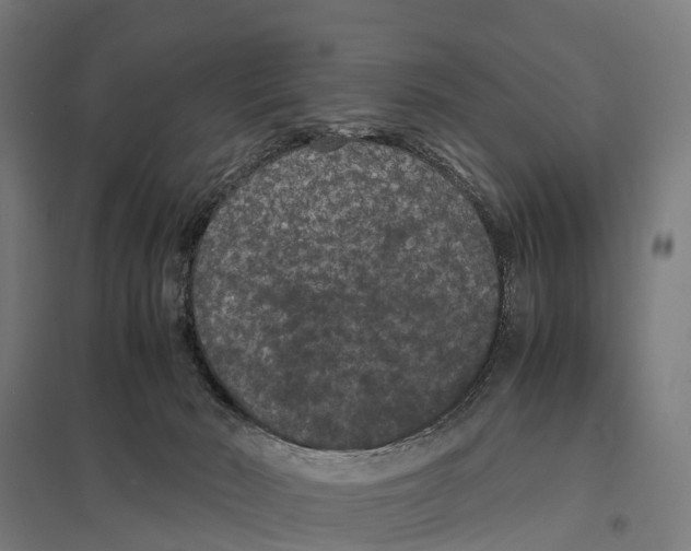 X0000097620030200803281046