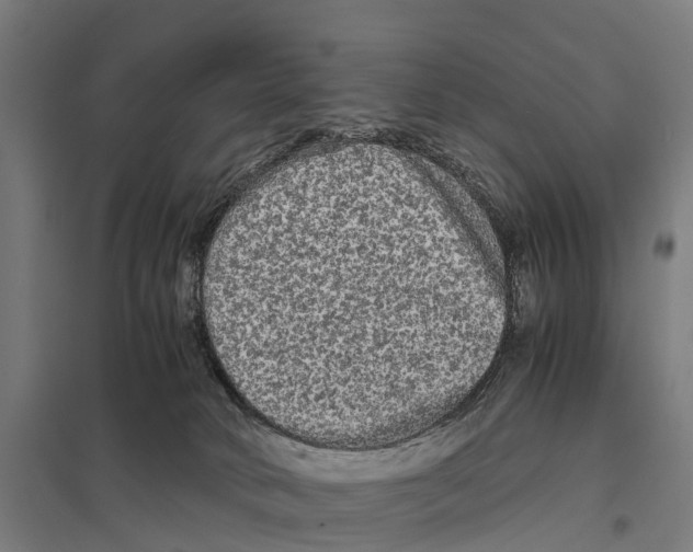 X0000097620034200803281046