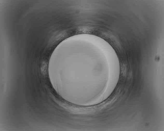 X0000097620036200803281046