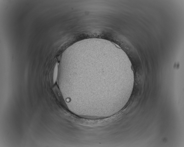 X0000097620037200803281046