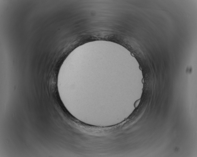 X0000097620040200803281046