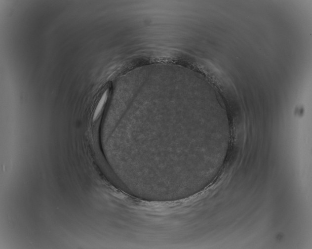 X0000097620041200803281046