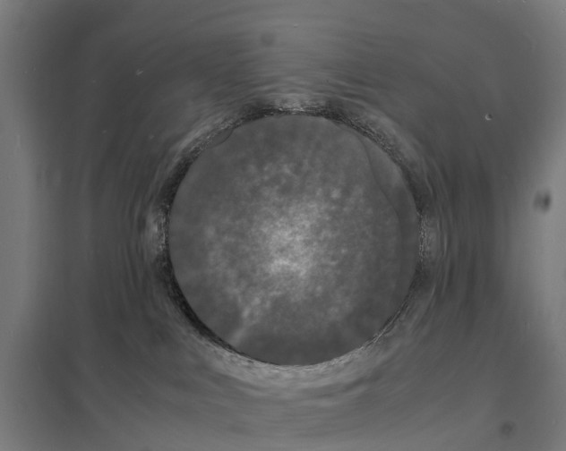 X0000097620043200803281046