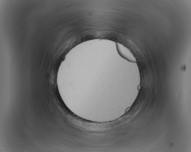 X0000097620044200803281046