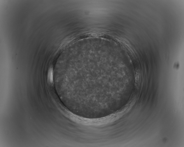 X0000097620046200803281046