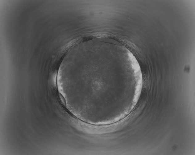 X0000097620047200803281046