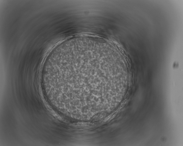 X0000097620049200803281045