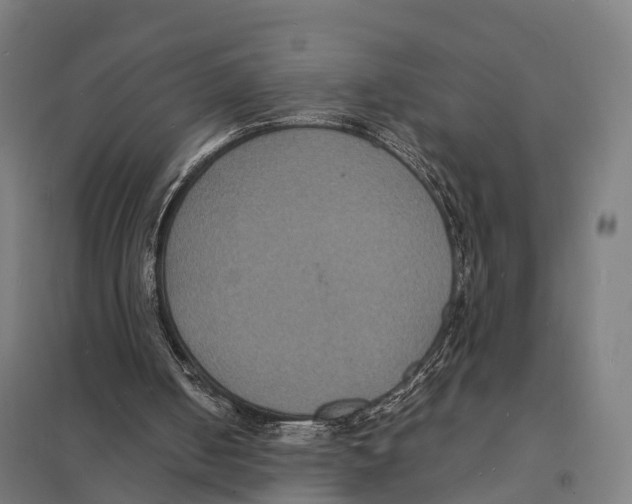 X0000097620050200803281046