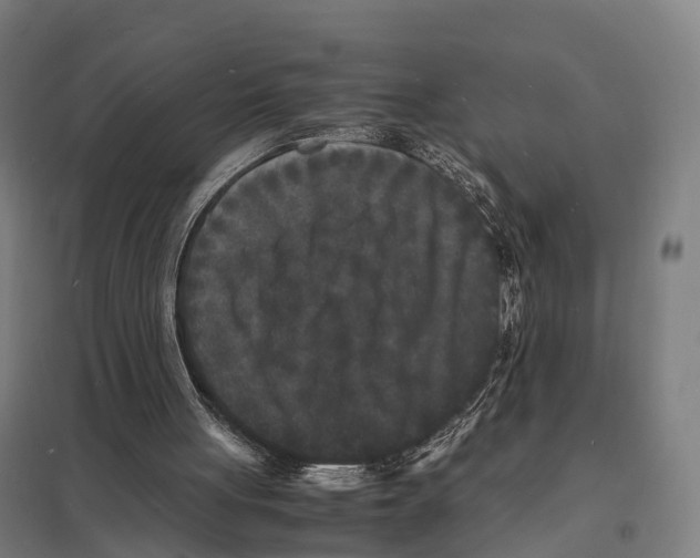 X0000097620051200803281046