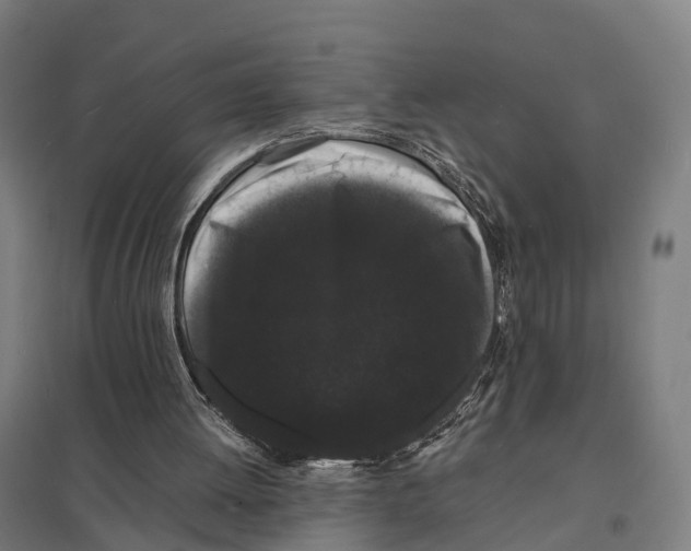X0000097620052200803281046